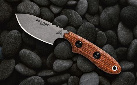 11 Quick-Draw Neck Knives For Everyday Carry. . Best everyday carry fixed blade